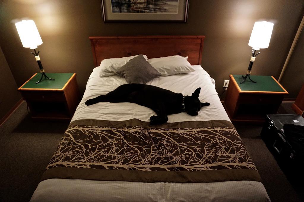 The Bamfield Motel Salmon Beach Buitenkant foto