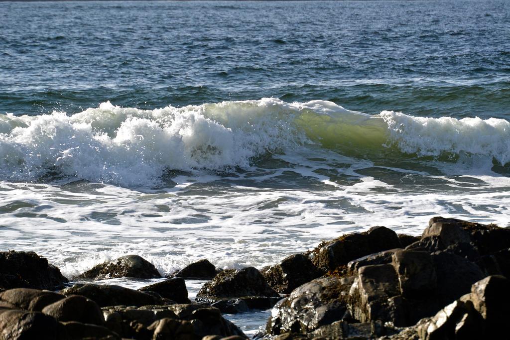 The Bamfield Motel Salmon Beach Buitenkant foto